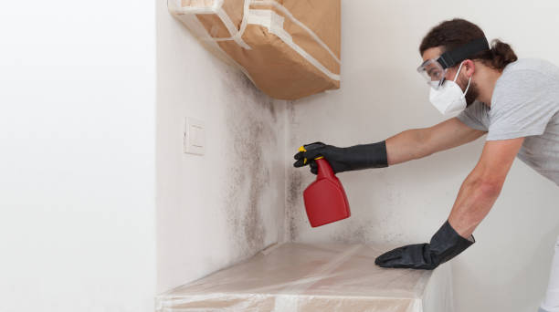 Professional Mold Remediation technician working in Houston, PA