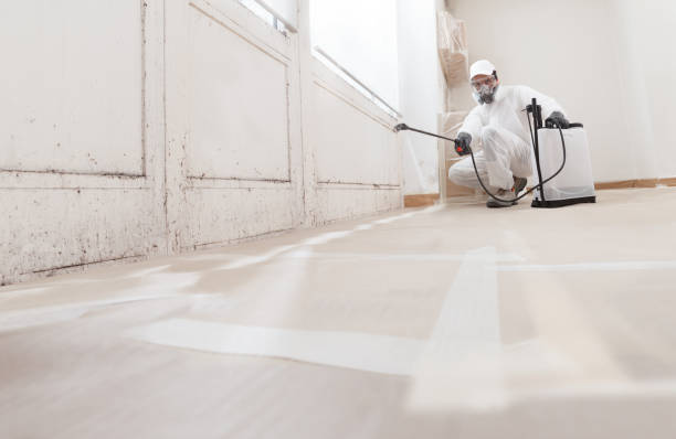 24/7 Emergency Mold Remediation experts in Houston, PA