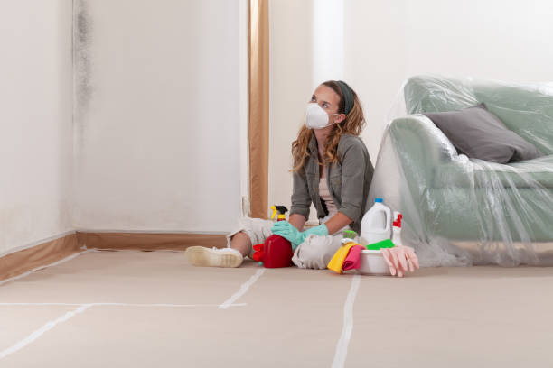 Reliable Mold Remediation contractor in Houston, PA by WQB Mold Removal