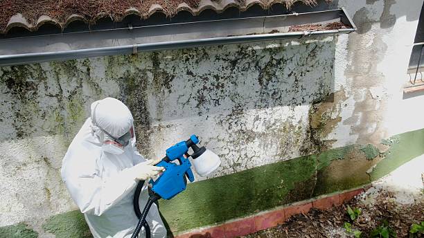 Top rated local Mold Remediation specialists in Houston, PA